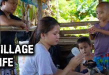 Philippines Village Life – Bottle Feeding 3 Baby Goats Philippines Village Life - Feeding 3 Baby Goats