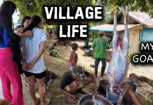 Goat Processing in Philippines Village Goat Processing in Philippines Village