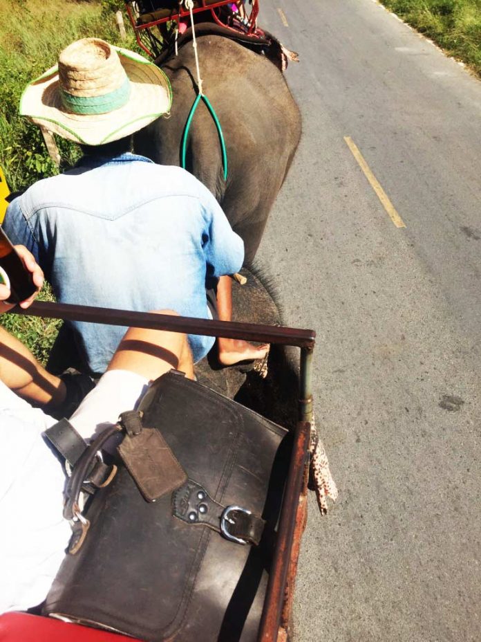 Saddleback Leather Thin Briefcase Travel Photos - Riding an Elephant in Thailand