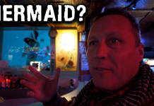 It was cold outside so I stopped by this bar to warm up… It was cold outside so I stopped by this bar to warm up...