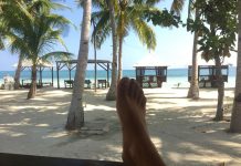 Top 7 Reasons Why I Love Southeast Asia Southeast Asia - 7 Reasons Why I Love It Here