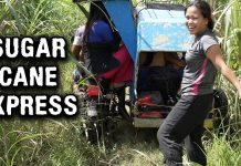 Filipinas Ride FIRST CLASS Through Sugar Cane Fields! Sugar Cane Express