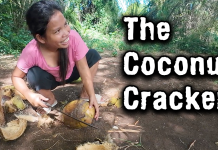 How To Skin A Coconut How To Skin A Coconut