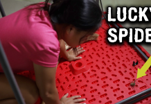 Filipina Wife’s Lucky Spider Causes Trouble At Green Acres Ranch Filipina Wife's Lucky Spider Causes Trouble At Green Acres Ranch