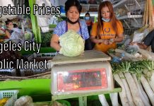 Trike Ride from Korea Town to Angeles City Public Market + Price of Vegetables in the Philippines Trike Ride from Korea Town to Angeles City Public Market + Price of Vegetables in the Philippines