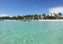 Want a Free Coconut? Want a Free Coconut?