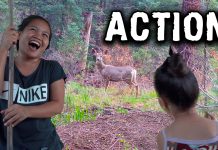 What To Do During Brownouts? What To Do During Brownouts?