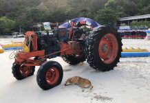 Morning Walk along Tawaen Beach on Koh Larn (Coral Island)