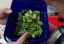 Chicken and Vegetables in the Lodge 3.2 Quart Cast Iron Combo Cooker on an Induction Burner