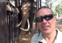 Ride Elephants in Thailand. You are Protecting Them.