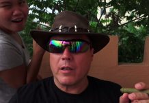 #Filipina Wife STEALS Fruit Off a Tree While I Analyze the Mysterious Guidance System of Pigeons #Filipina Wife STEALS Fruit Off a Tree While I Analyze the Mysterious Guidance System of Pigeons