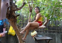 Filipina Wife Won’t Come Down from our Guava Tree Until I Bring Her the Salt!