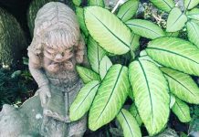 WordPress Plugins – Here’s What You Need to Install WordPress Plugins